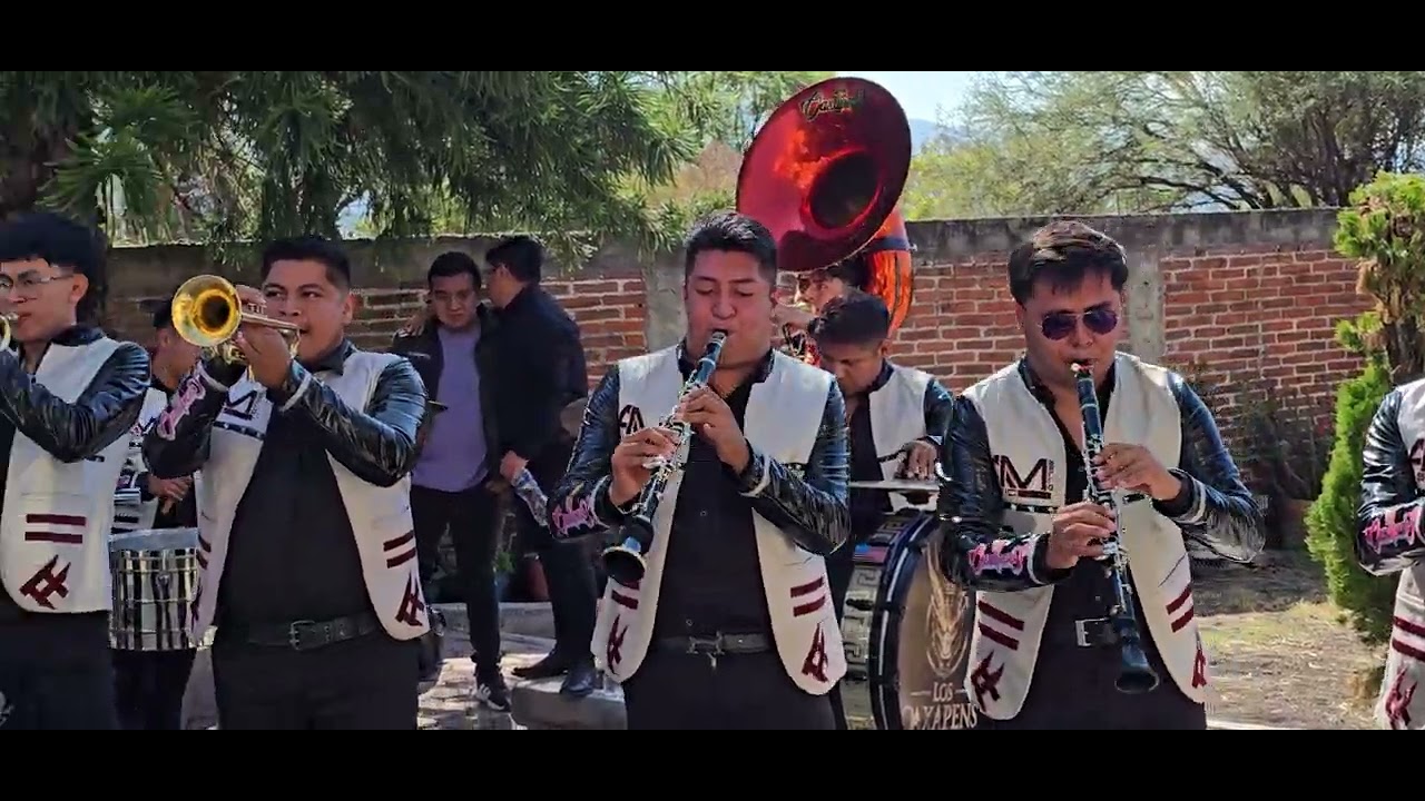 FLOR DE PIÑA #oaxaqueños #flordepiña #viralvideo #guelaguetza #musicaoaxaqueña #banda