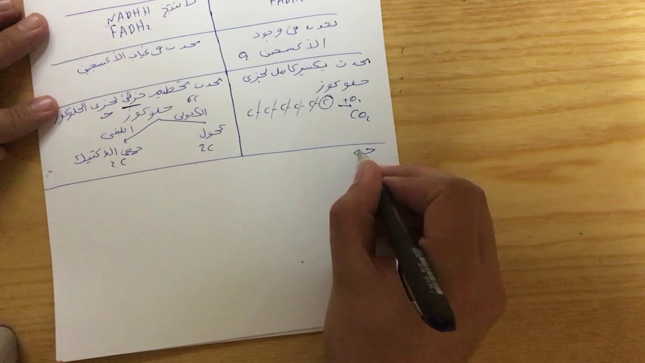 6 الفرق بين التنفس الهوائي والاهوائي