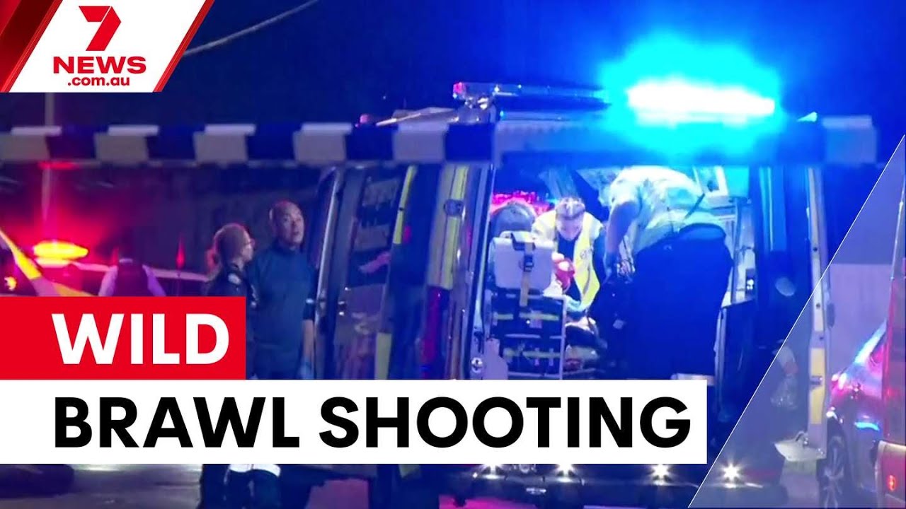 Brothers shot in wild Chester Hill brawl | 7NEWS