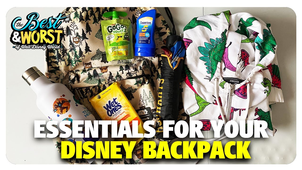 BEST Things to Have in Your Backpack | Best & Worst of Walt Disney World | 09/17/20
