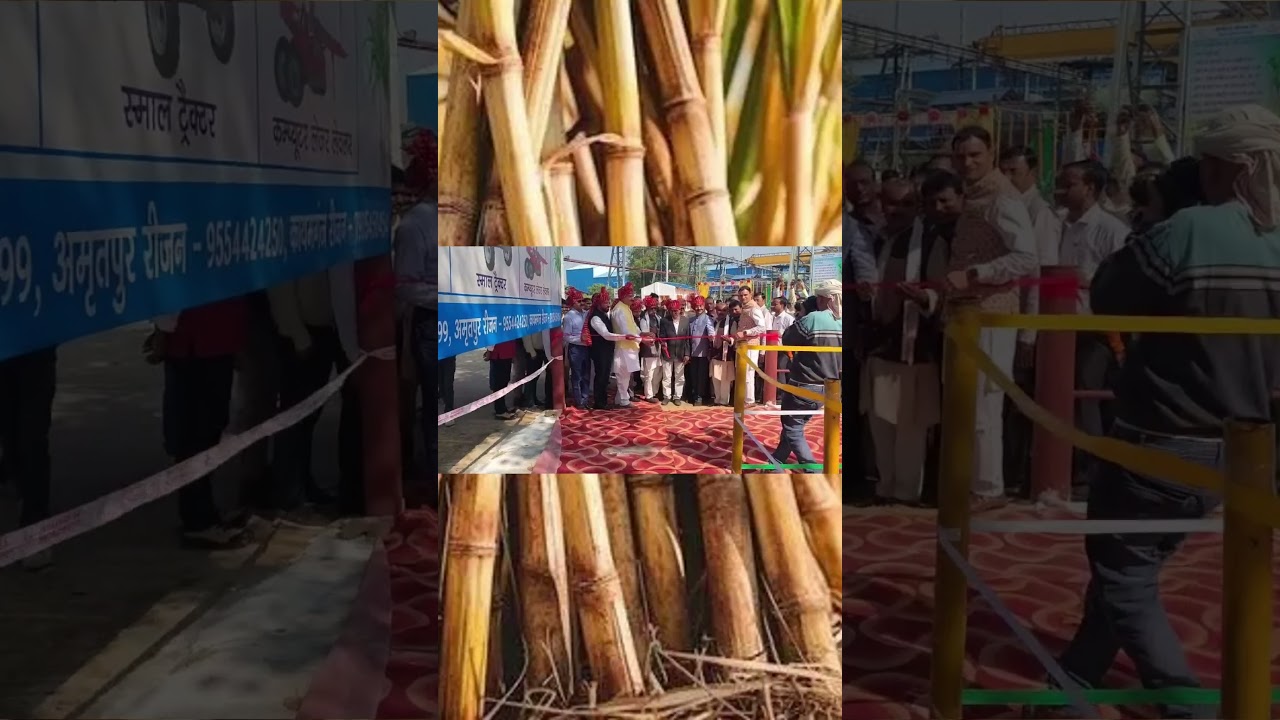 CRUSHING SEASON START By MLA MADHVENDRA PRATAAP SINGH RANU, GM-DCM SRIRAM SANJEEV TOMAR