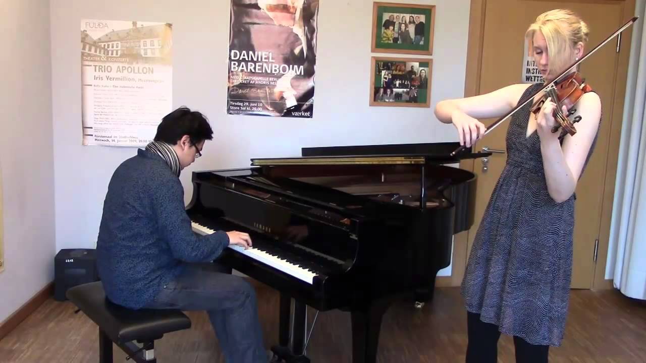 Hall of Fame, Let her Go, Castle of Glass - Medley [cover]