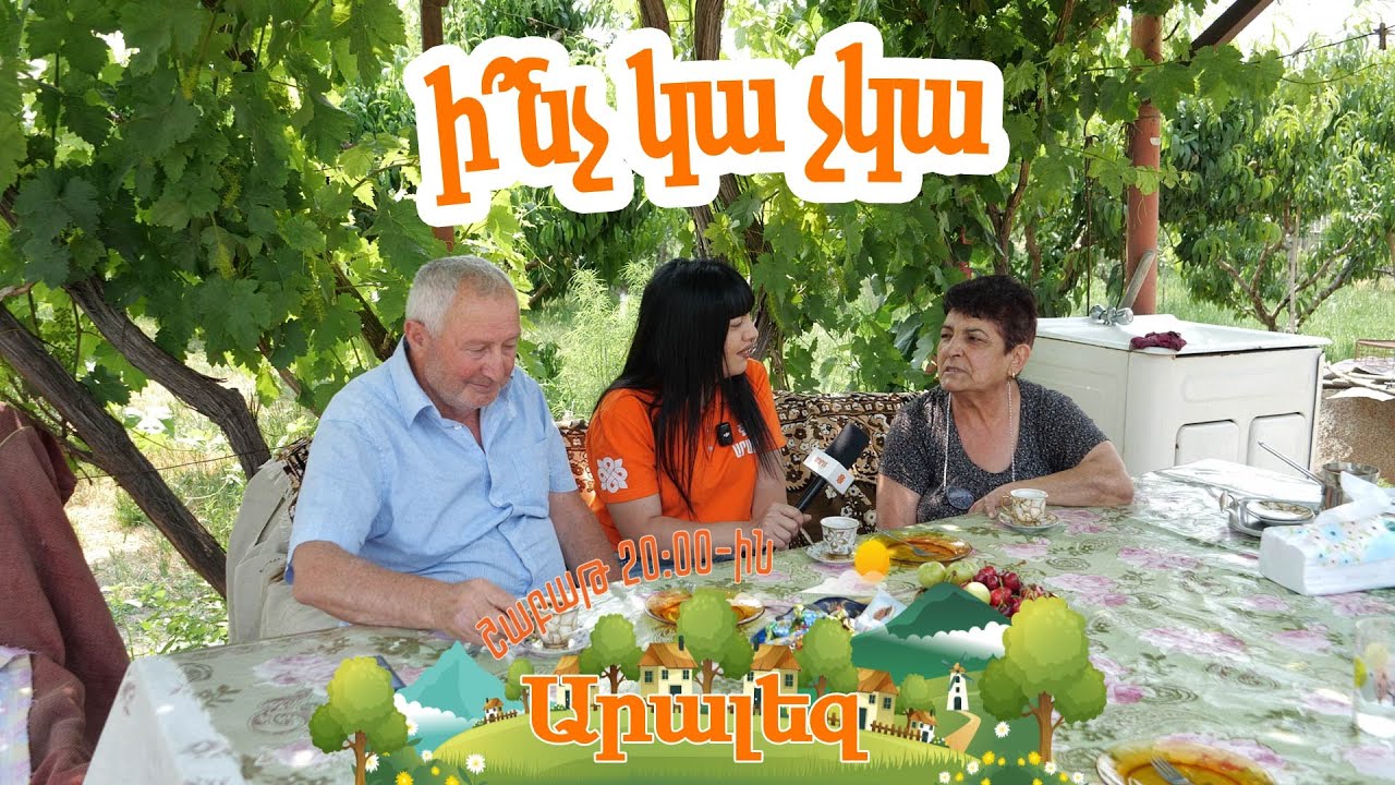 Ի՞նչ կա չկա Արալեզում