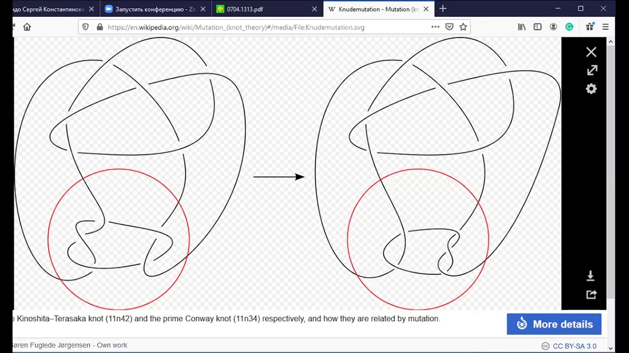 Combinatorics of Vassiliev knot invariants 09 04 2020