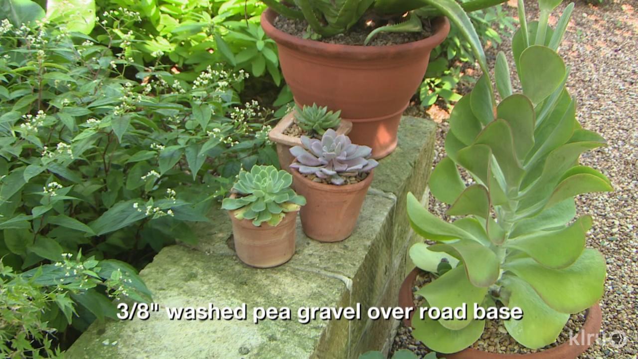 Romantic Courtyard Garden |Margie and Al McClurg |Central Texas Gardener