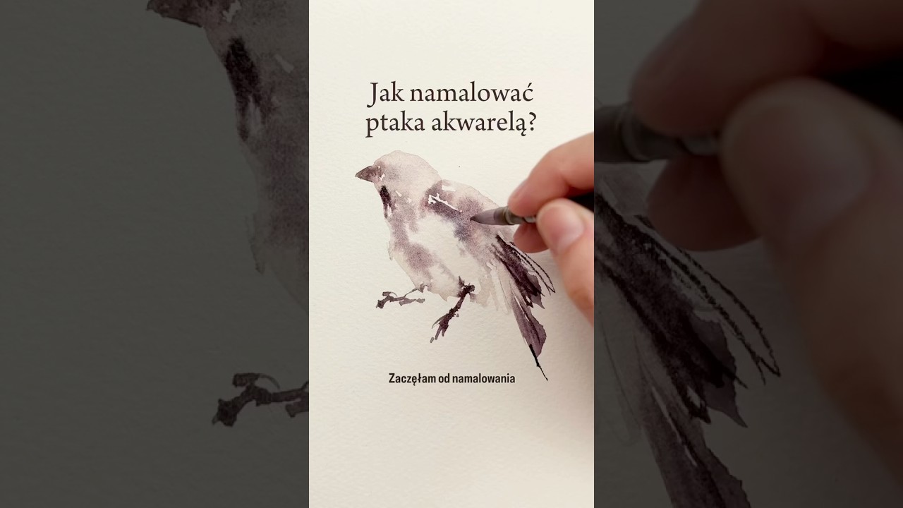 Wr&oacute;bel akwarelą, w luźnym stylu🎨 #akwarele #tw&oacute;rczość #art #watercolor #malowanie #naukamalowania