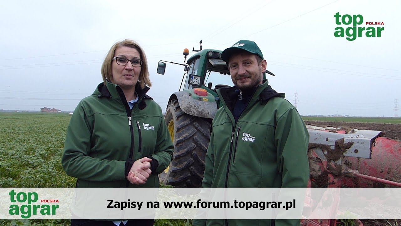 Pogotowie Polowe TAP: Jak prawidłowo zaorać międzyplony?