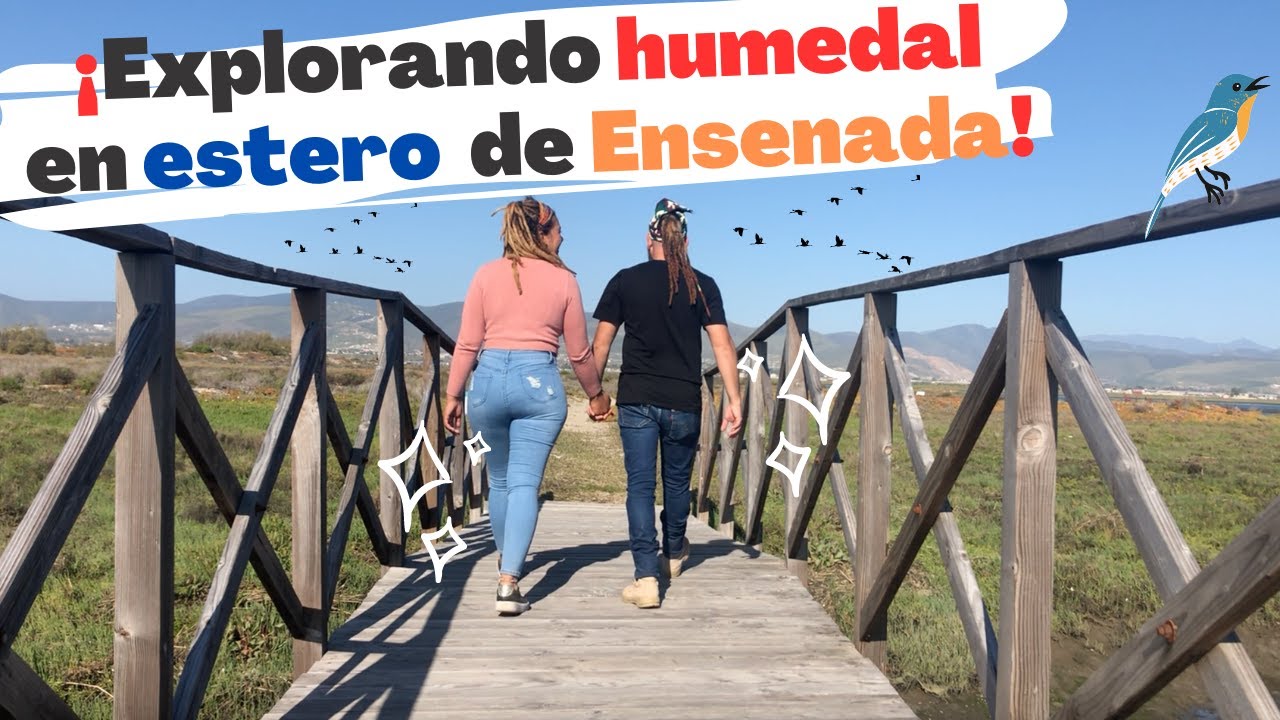 un paseo por HUMEDAL DEL ESTERO  lengüeta arenosa ENSENADA
