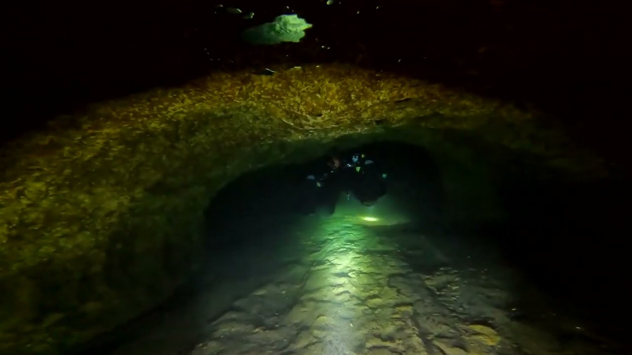 Diving Little River Spring