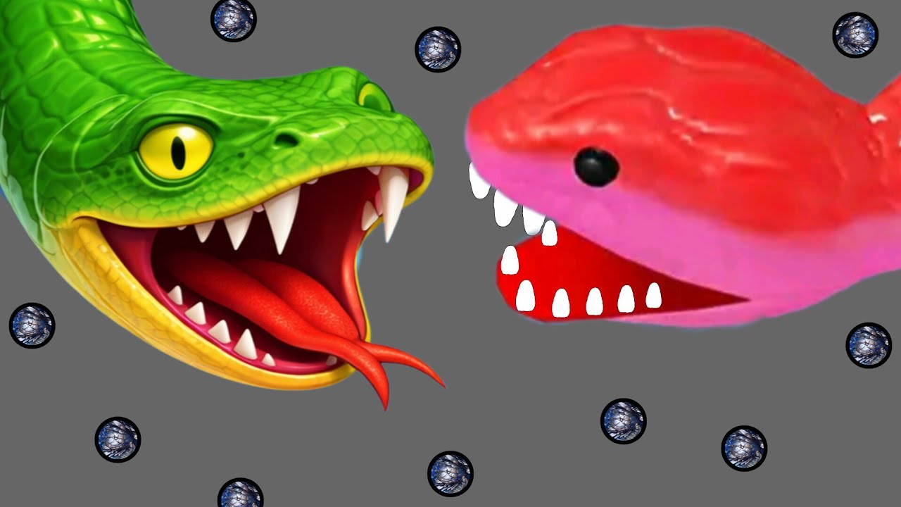  Everyone Ran Away I Grew Bigger in Snake Clash! 😈🐍