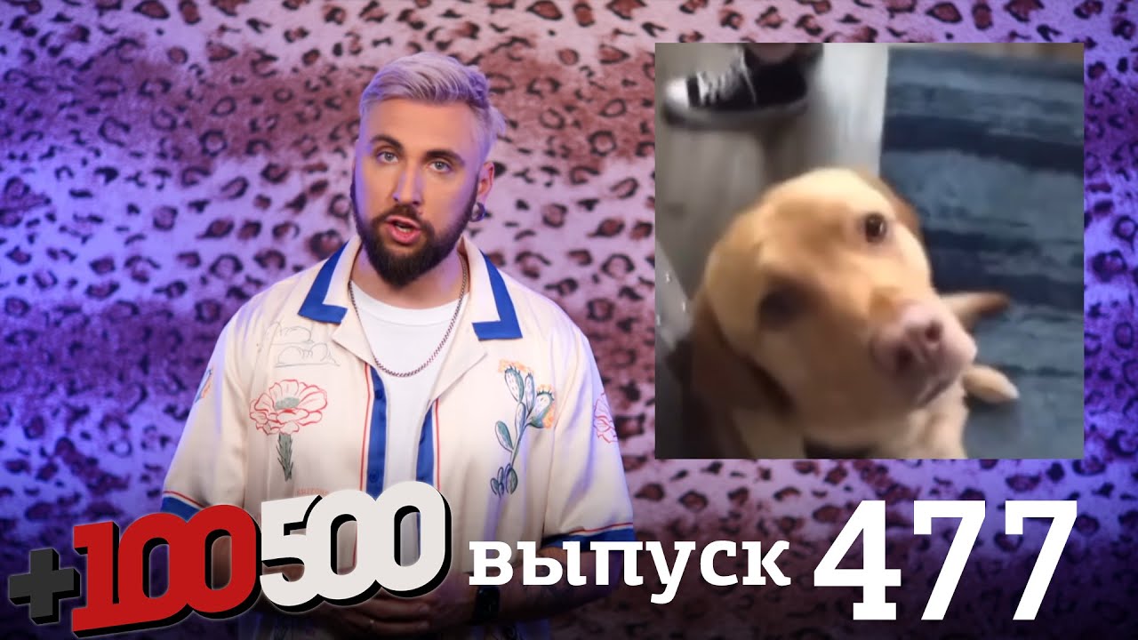 +100500 | Выпуск 477