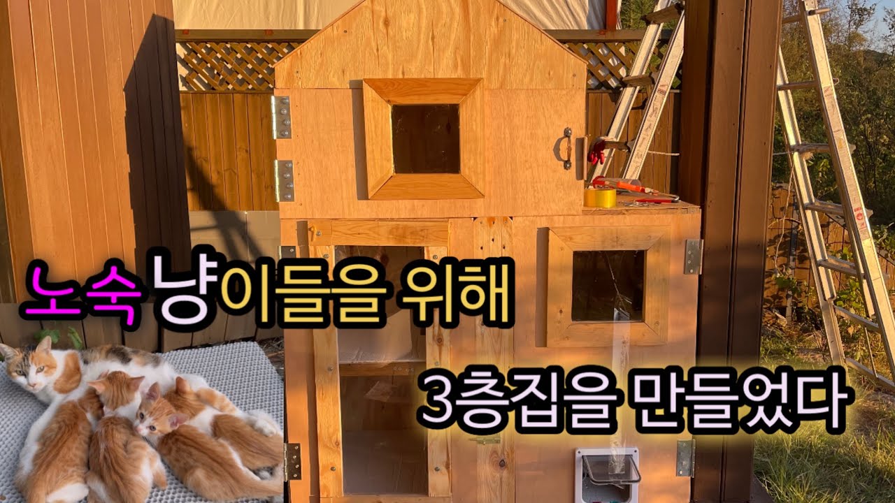 버려진 파레트로 만든 고양이 3층집 (재활용집)