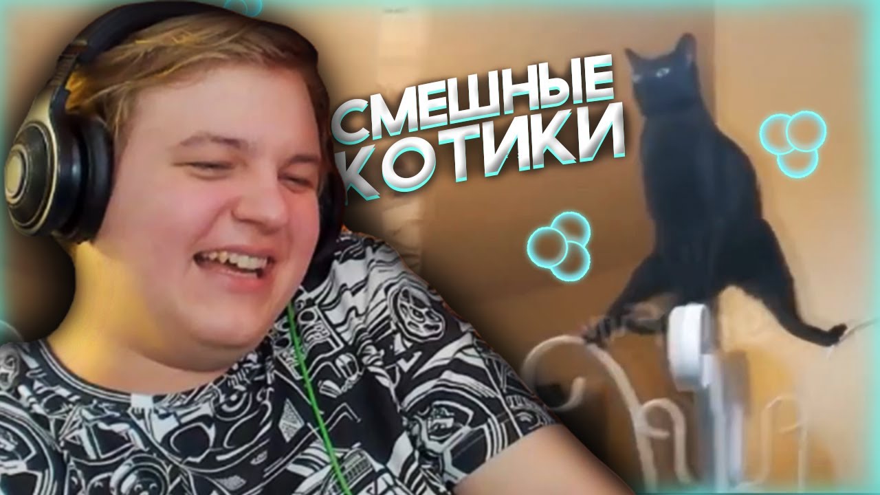 ПЯТЁРКА СМОТРИТ ПРИКОЛЫ 2020 КОТЫ Приколы с Кошками и котиками Смешные Коты | Нарезка Стрима Фуга ТВ