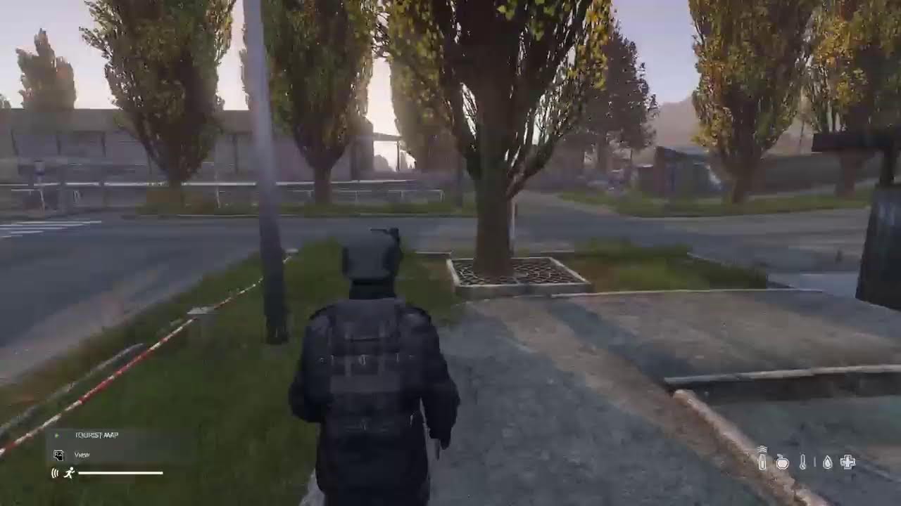 Dayz