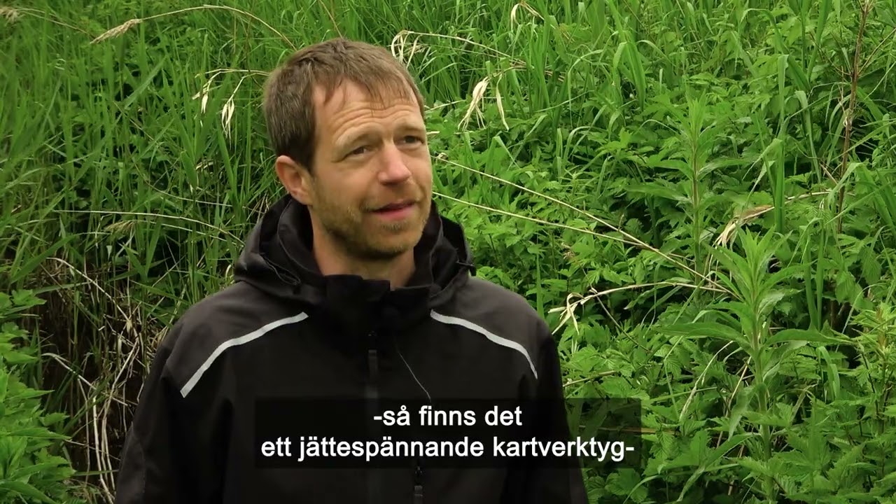 Blågröna stråk i Södra Sandby