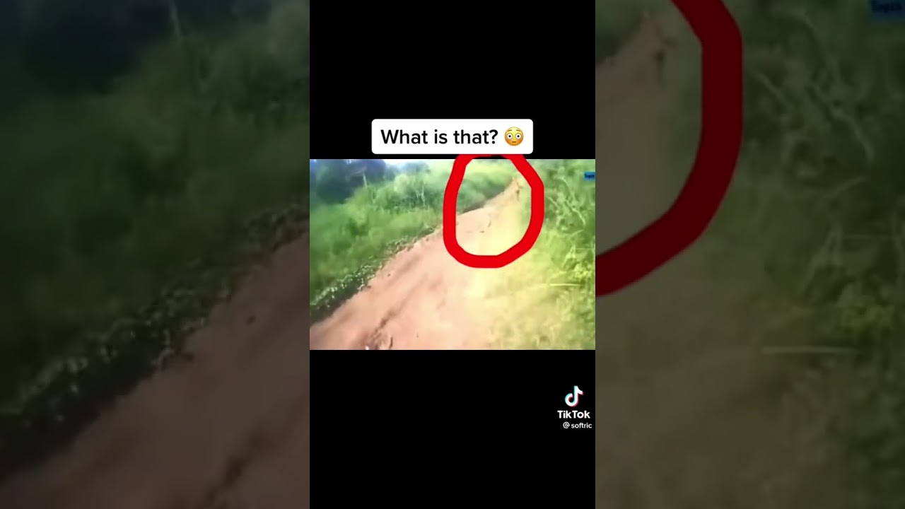 Goblin caught on camera 📸 ⚠️ #shorts