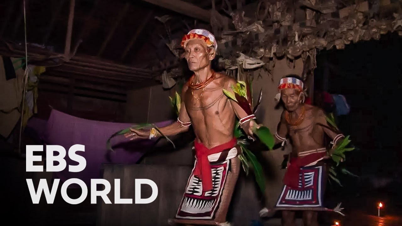 Mentawai Tribe Unveiling 4,000 Years of Isolated Jungle Life and Culture #pickdocu