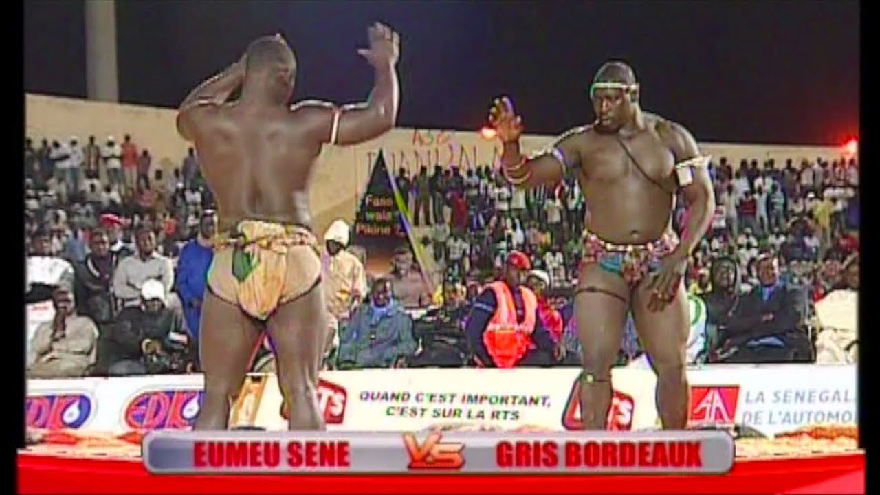 BANTAMBA DU 27 NOVEMBRE 2018 - SPÉCIAL COMBAT EUMEU SÉNE GRIS BORDEAUX