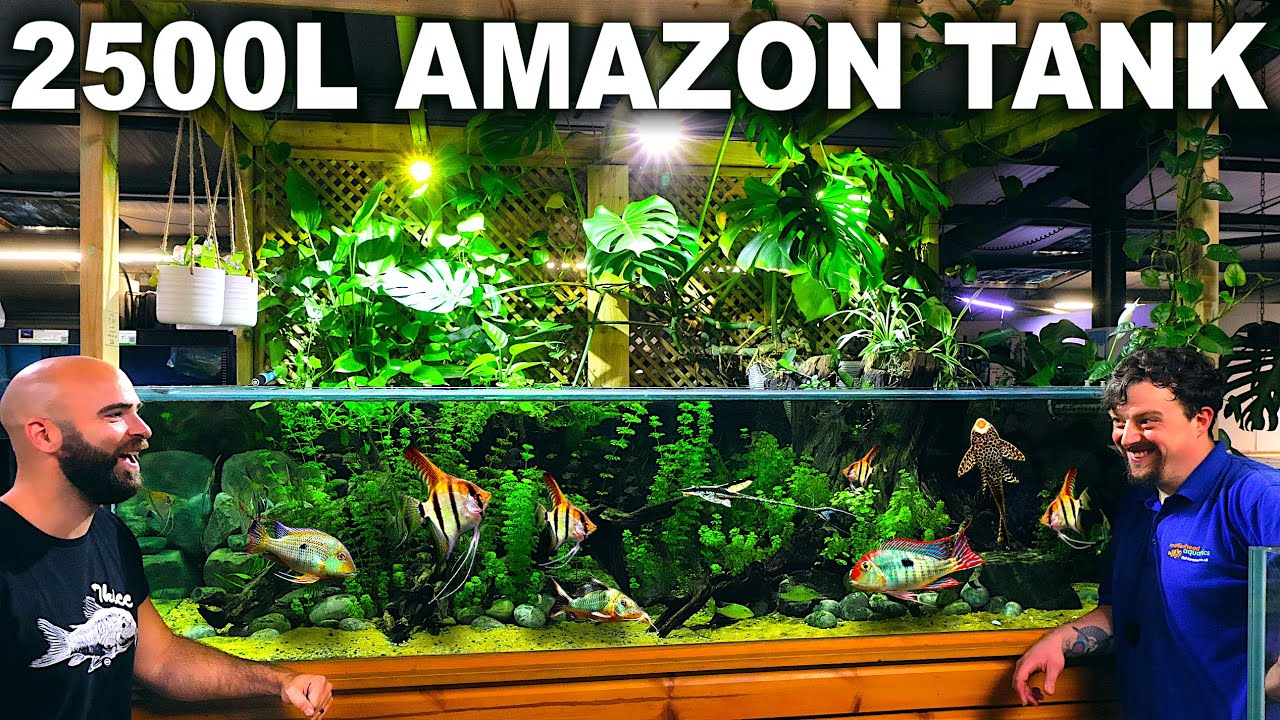 2500L Zoo Level Amazon Aquarium: FULL BUILD (Aquascape Tutorial)