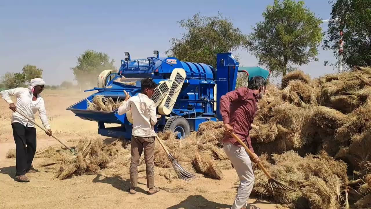 जीरा कैसे साफ किया जाता है 😍 jeera ka pura katai se Safai vlog