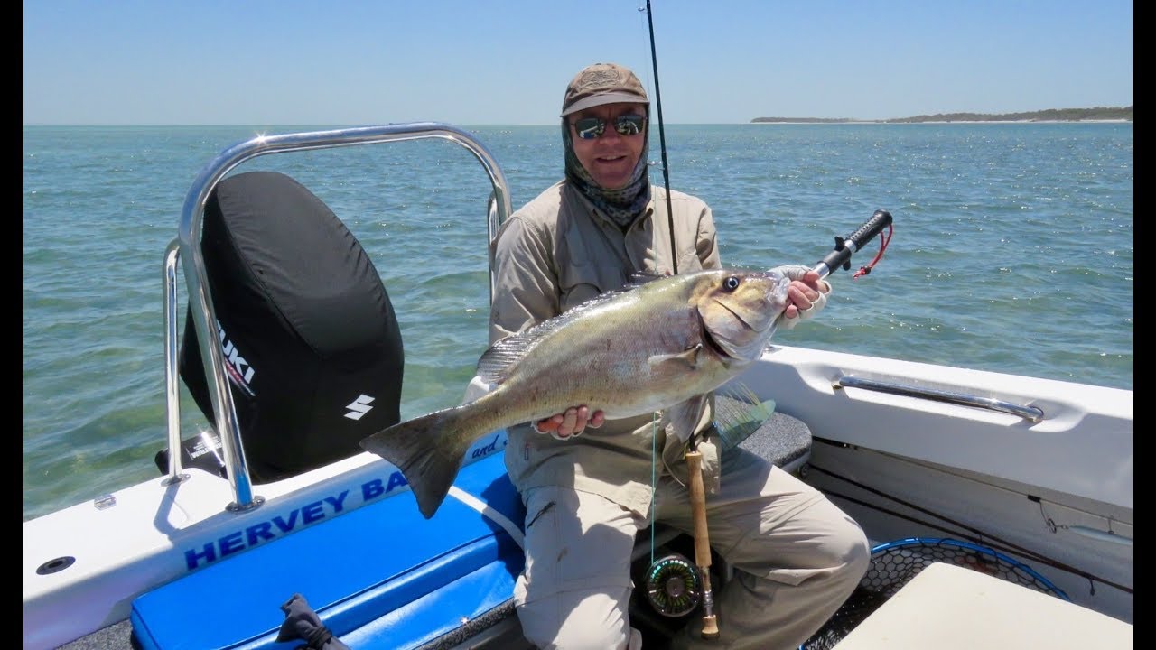 Fly Fishing Hervey Bay Australia, November 2018