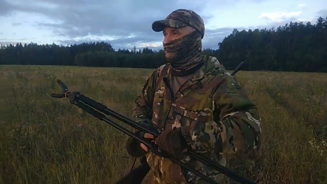 Охота на самца косули с манком, на гону.#косуля#самец#гонкосули#манок#hunting #hunter#егерь#видио
