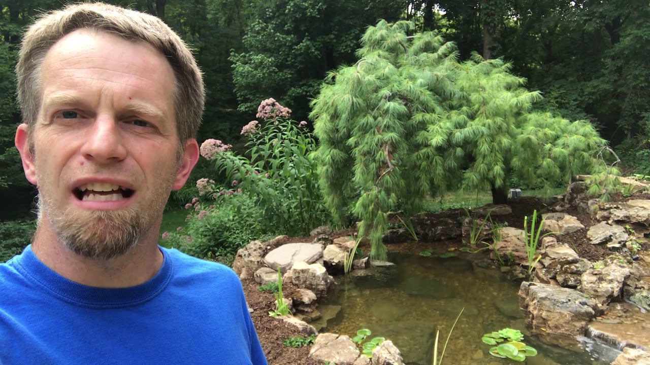 The Perfect Backyard Limestone Koi Pond (Vlog)