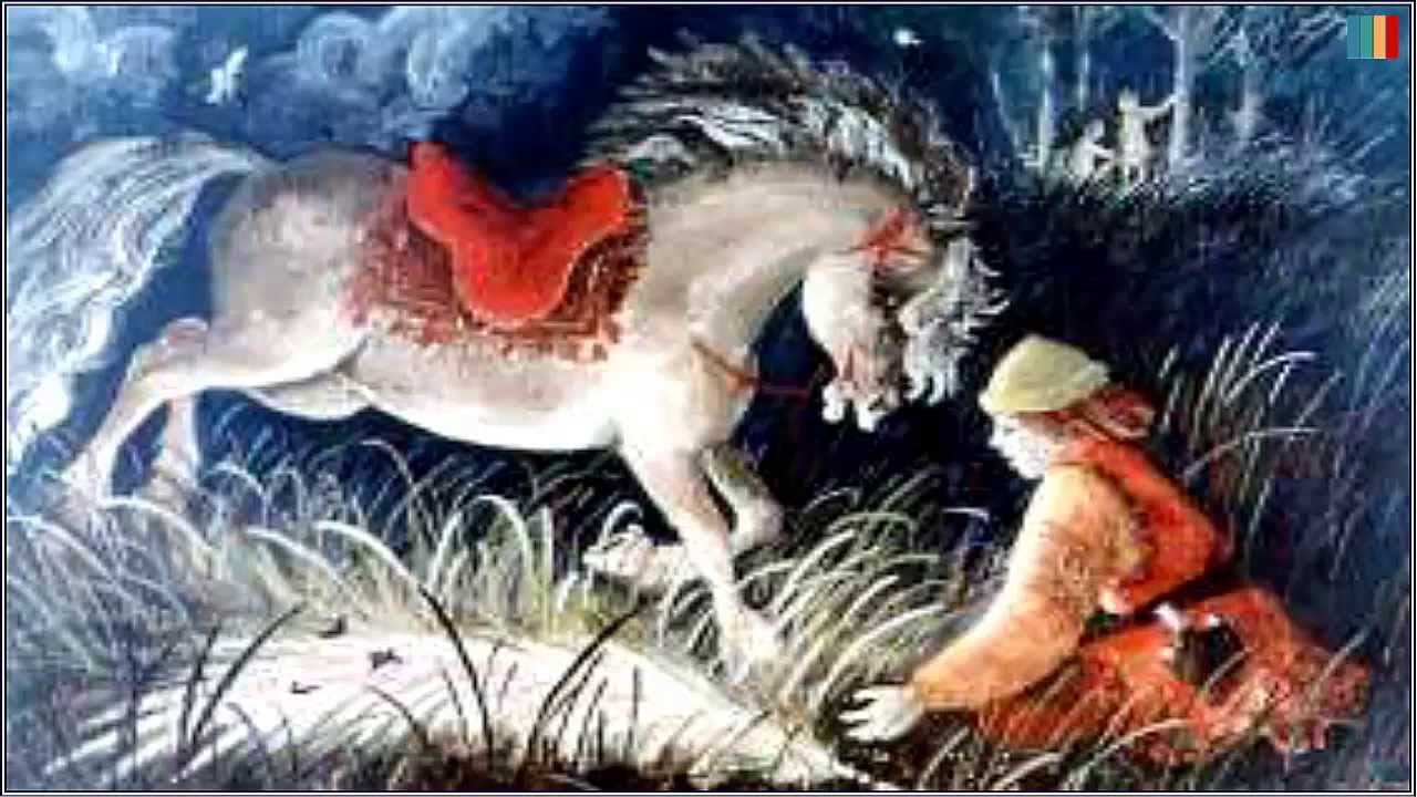 Garbusek - część 1 - Opowiem wam bajkę