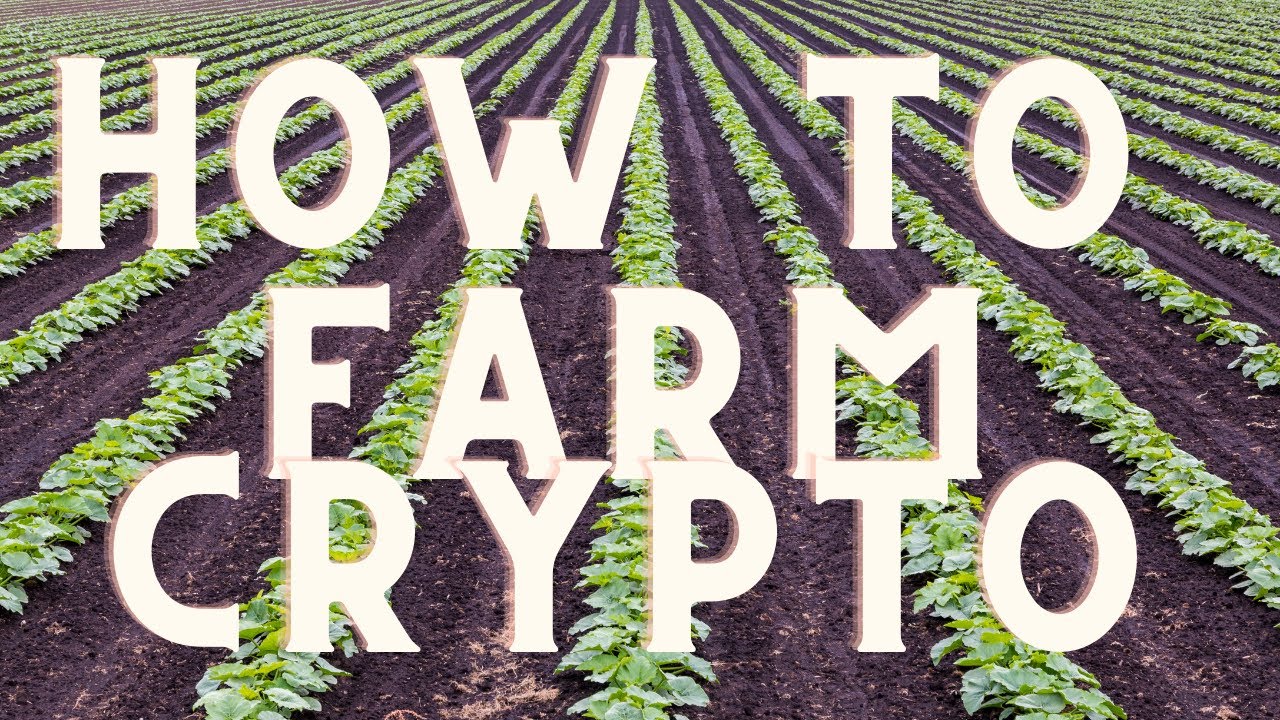 Farming NOW is the future in this DIP?  Matic, DFYN, MetaMAsk, Route