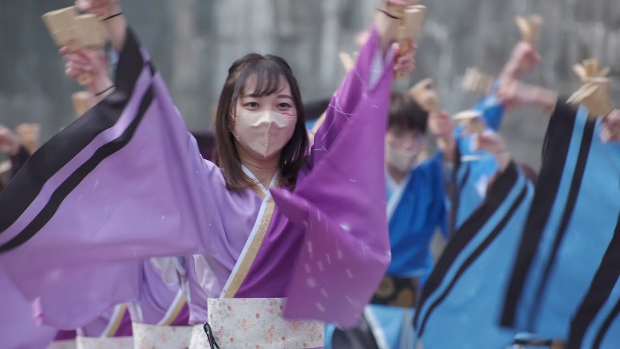 早稲田大学東京花火 千斗星 ハマこい2021