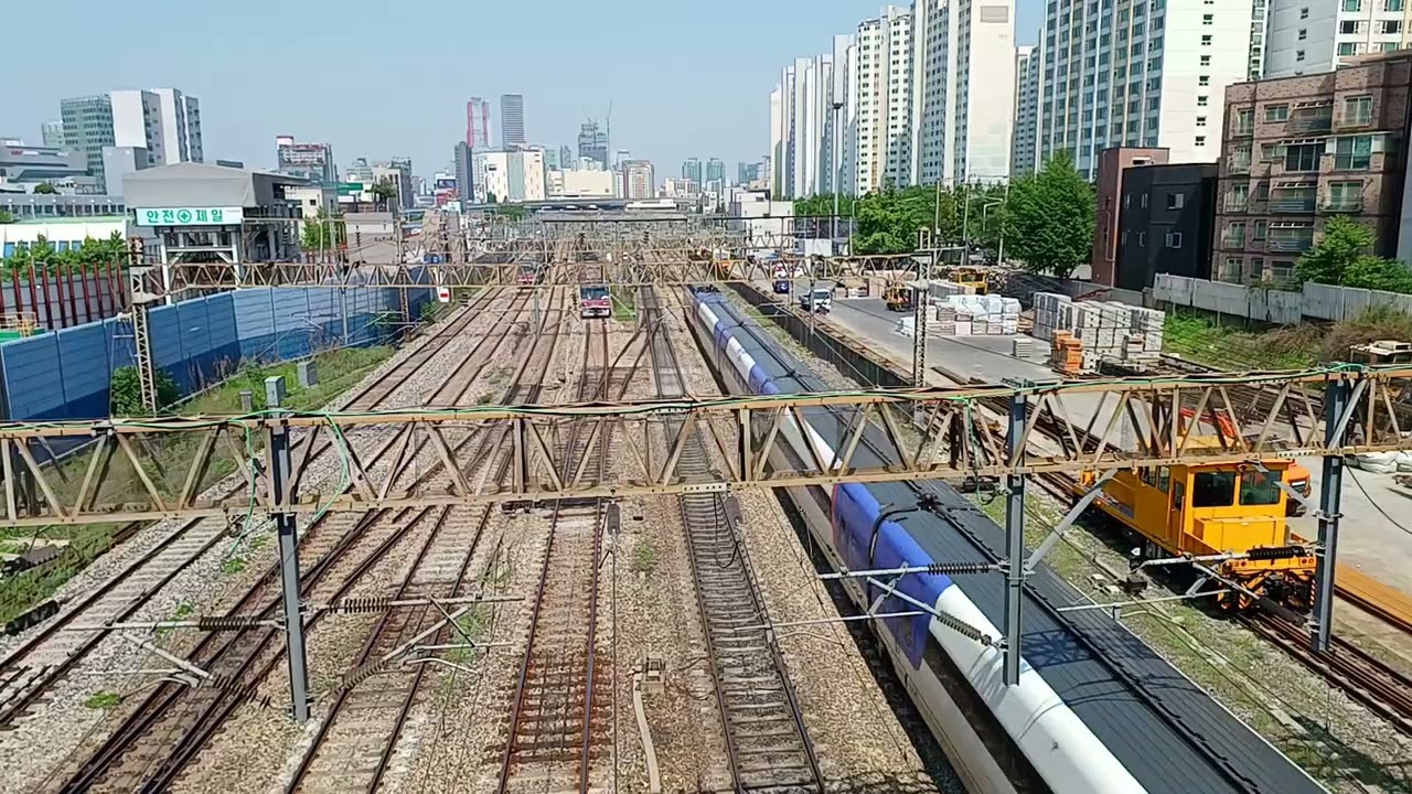 도림고가