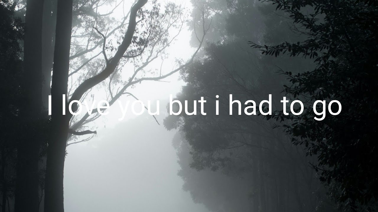 I love you but i had to go 