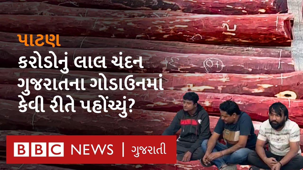 Patan : આંધ્ર પ્રદેશનું લાલ ચંદન ગુજરાત લાવનાર આરોપીઓને પોલીસે કેવી રીતે પકડ્યા?