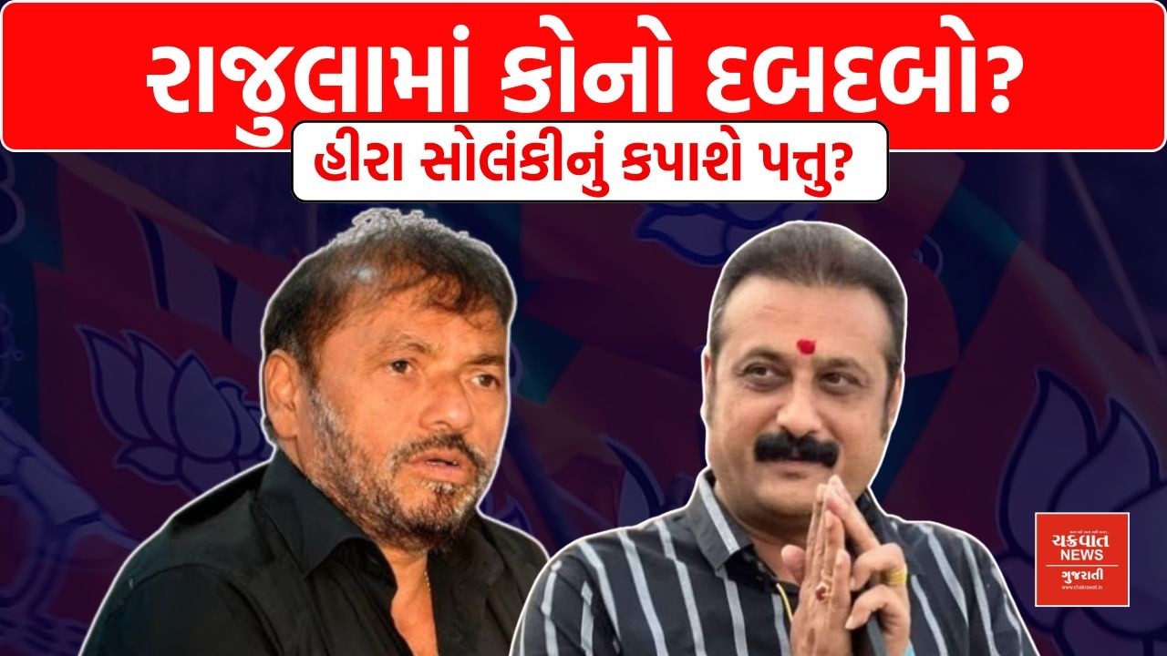 Rajula માં કોનો દબદબો, Amresh Der VS Hira Solanki ની રેસમાં કોણ મારશે બાજી?