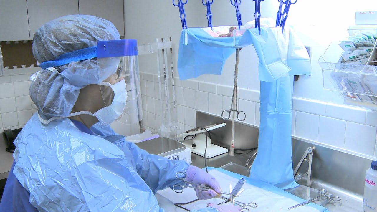 Cord processing
