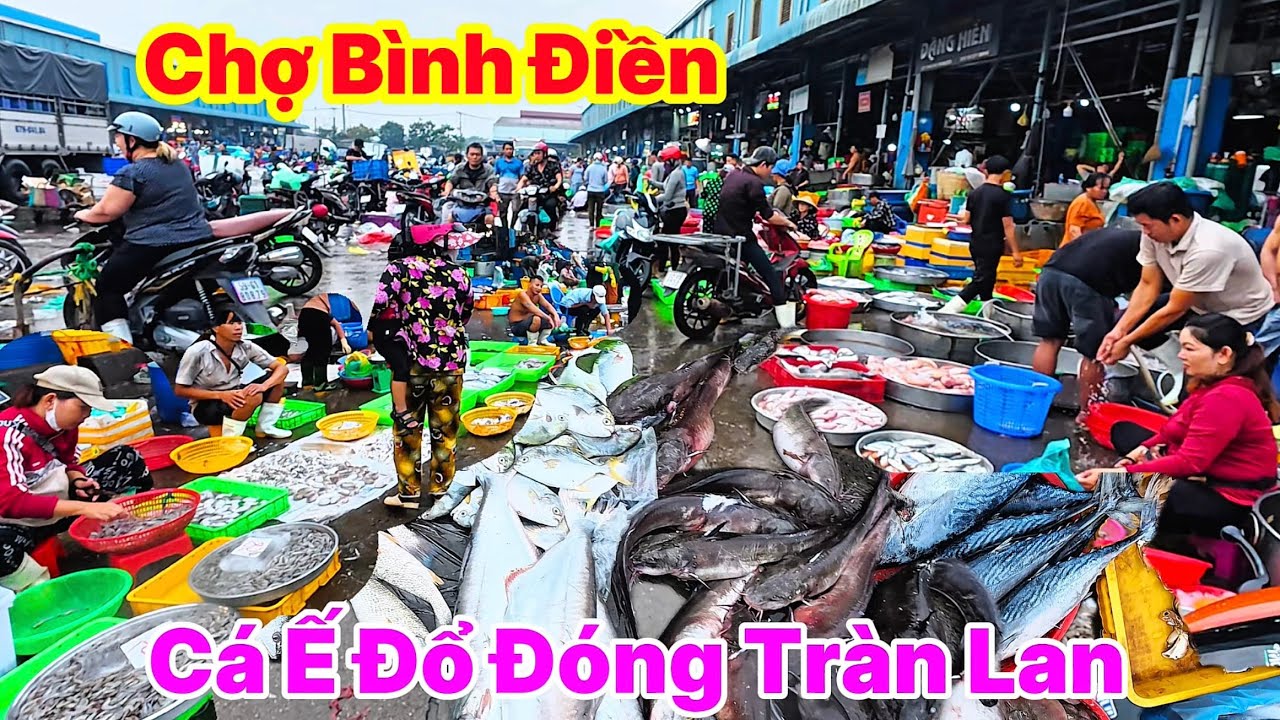 Cá Ế Đổ Đóng Tràn Lan Chợ Bình Điền Đầu Năm 2026 Tôm Cá Rẻ Bèo | GÓC TÂY NINH
