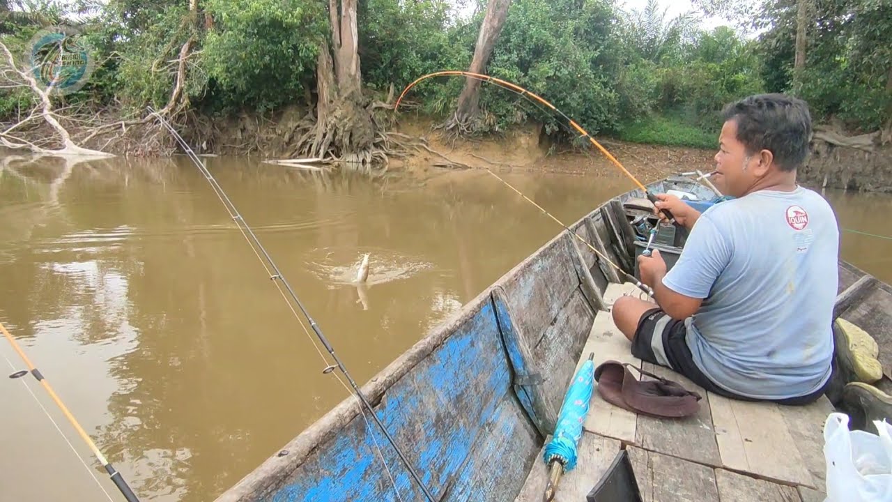 MANCING UMPAN JANGKRIK DI AIR KERUH
