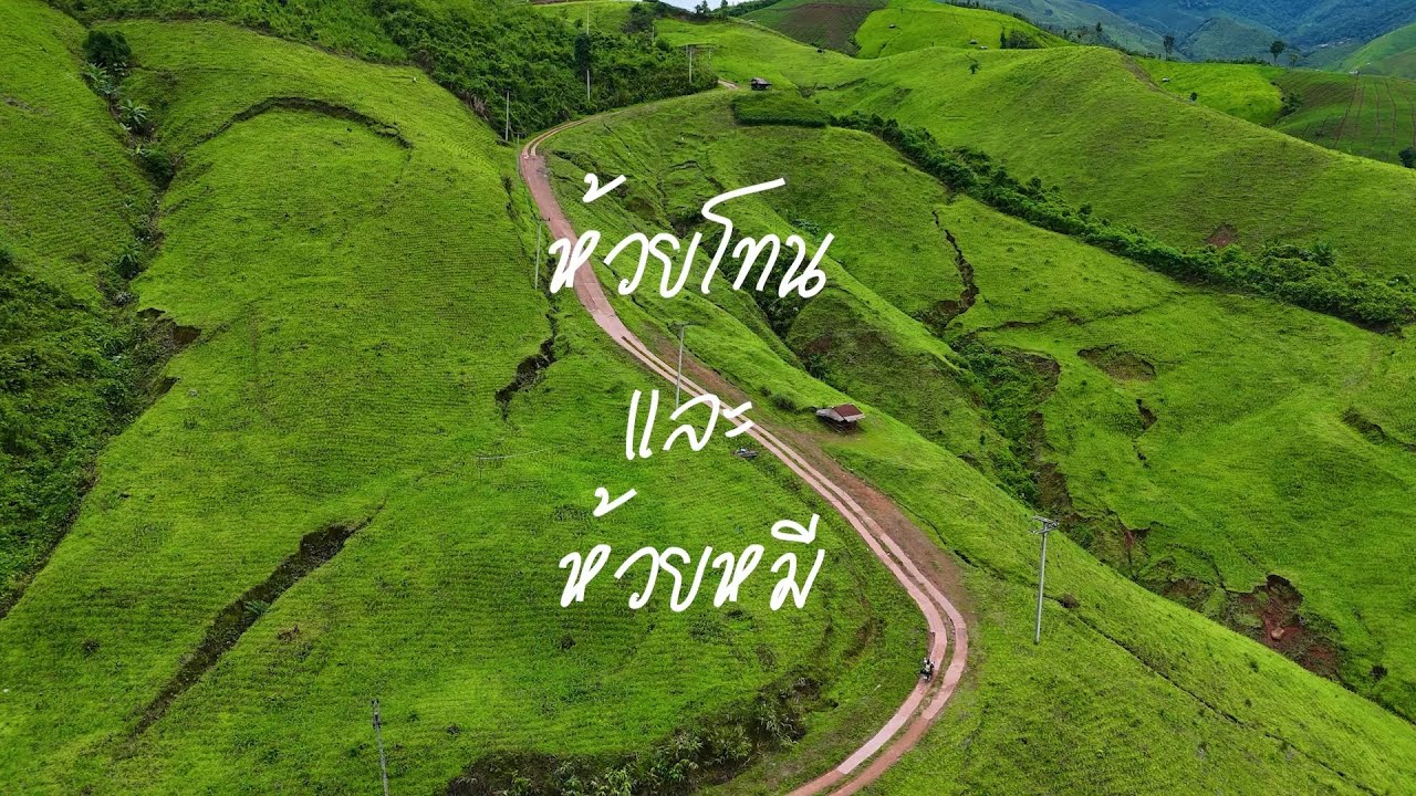 ห้วยโทนและห้วยหมี