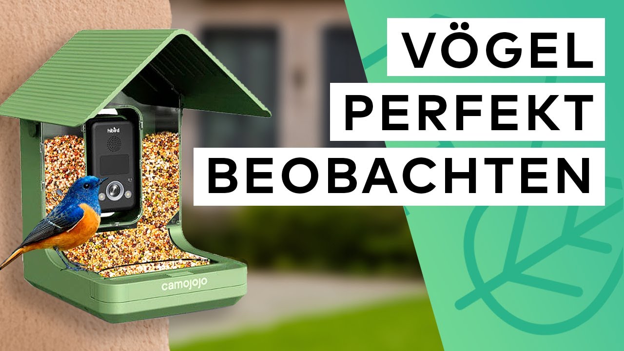 Die beste Art VÖGEL zu BEOBACHTEN 🐦 👁  | PRODUKTTEST 👍 / 👎