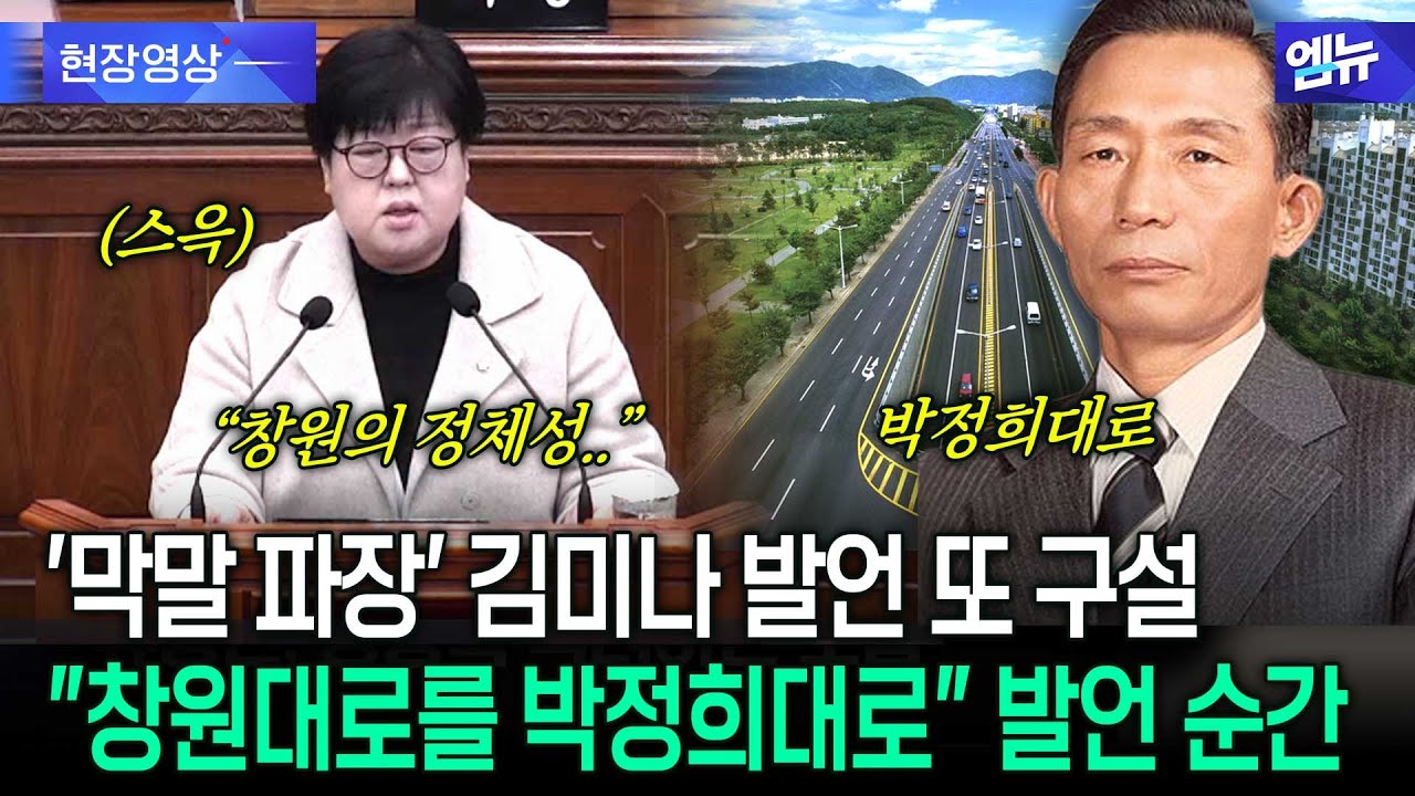 '막말 파장' 김미나 발언 또 구설 