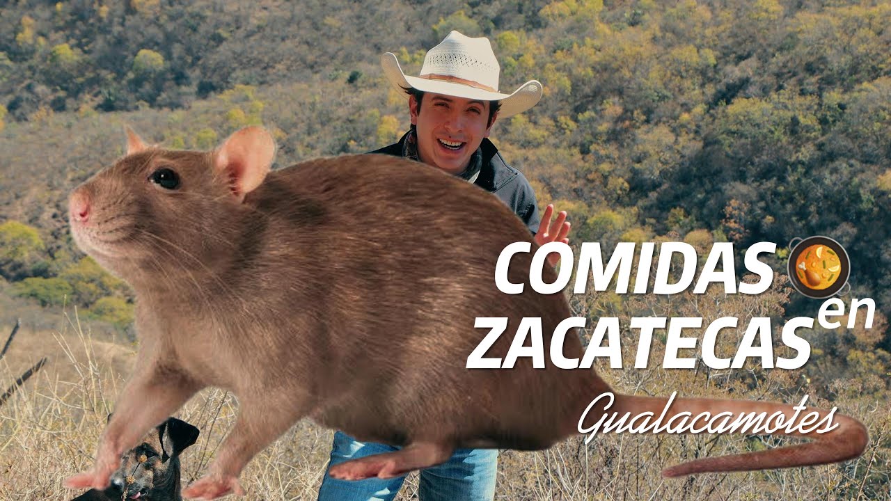 Que comemos en Zacatecas ? 4K