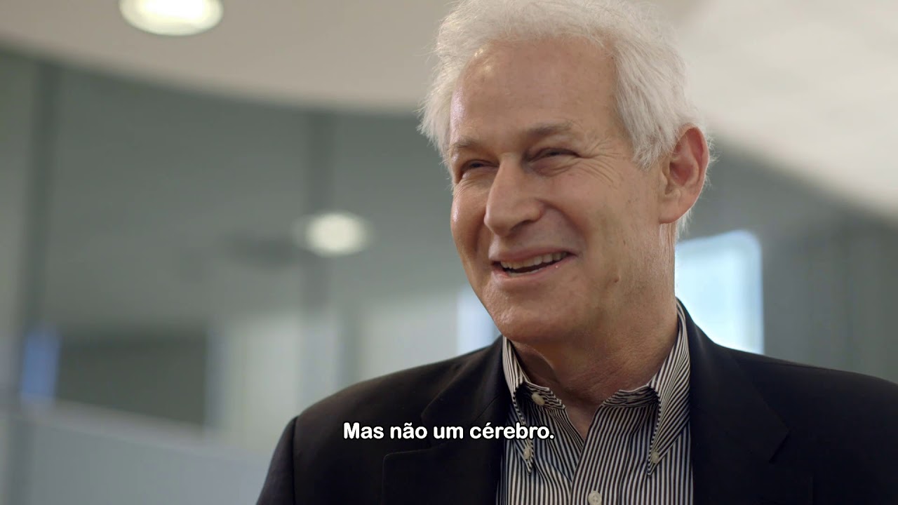 Por que os béalicerces são importantes