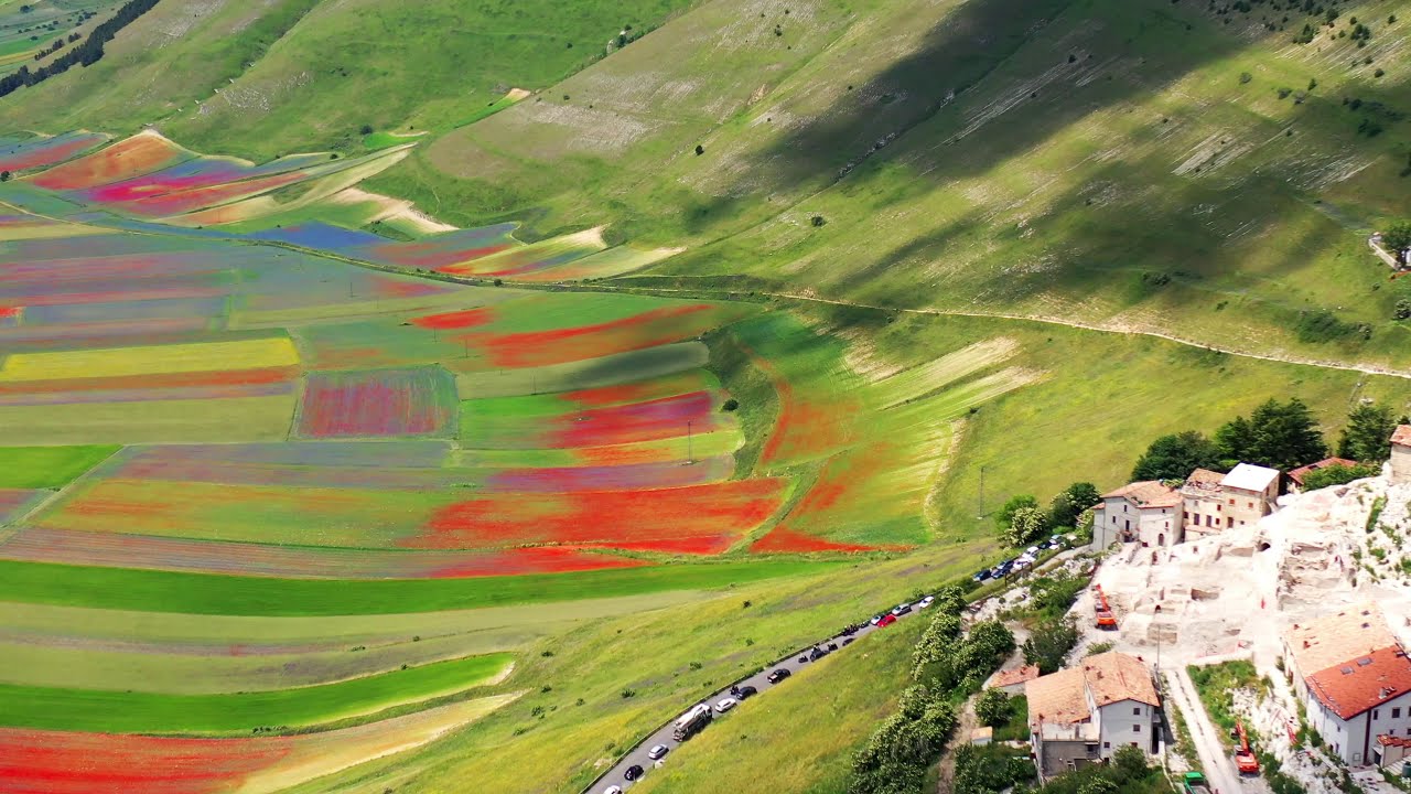 FIORITURA 2020 CASTELLUCCIO DI NORCIA-4K