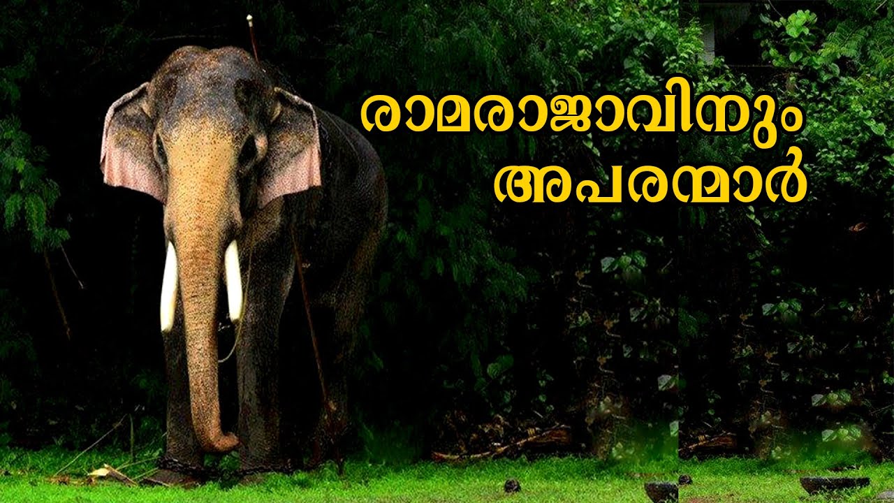 രാമരാജാവിന്റെ അപരന്മാർ | Thechikottukavu Ramachandran | Kadekkachal Ganesan | Cheeroth Rajeev