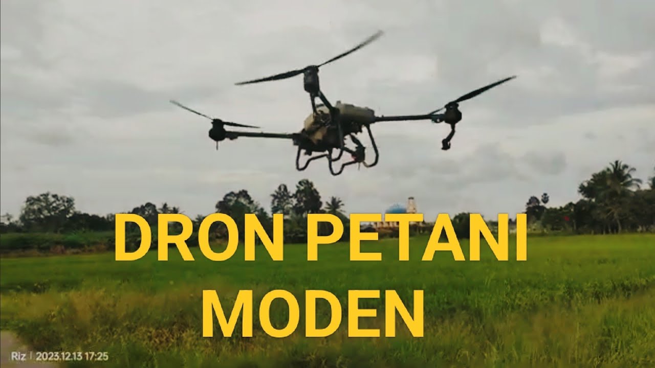 Dron Petani Moden #petanimoden #dronelife #padiperlis