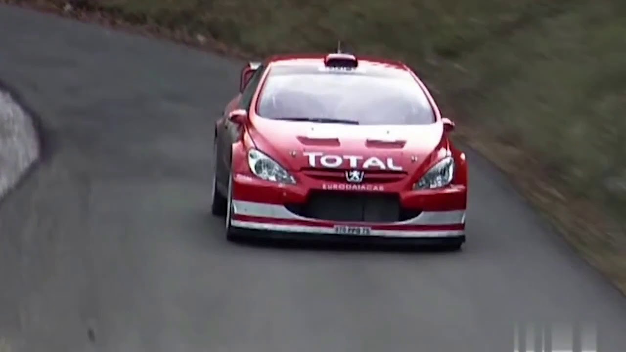 WRC Peugeot 307 WRC for Monte Carlo Rally And Peugeot 206 WRC for Monte Carlo Rally