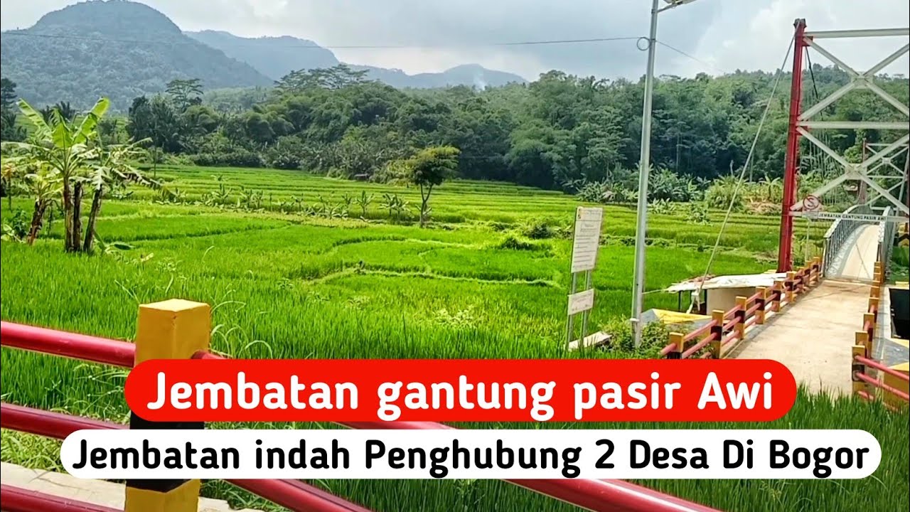 Indah BANGET!! JEMBATAN GANTUNG PASIR AWI - Jembatan indah Penghubung 2 Desa Di BOGOR 