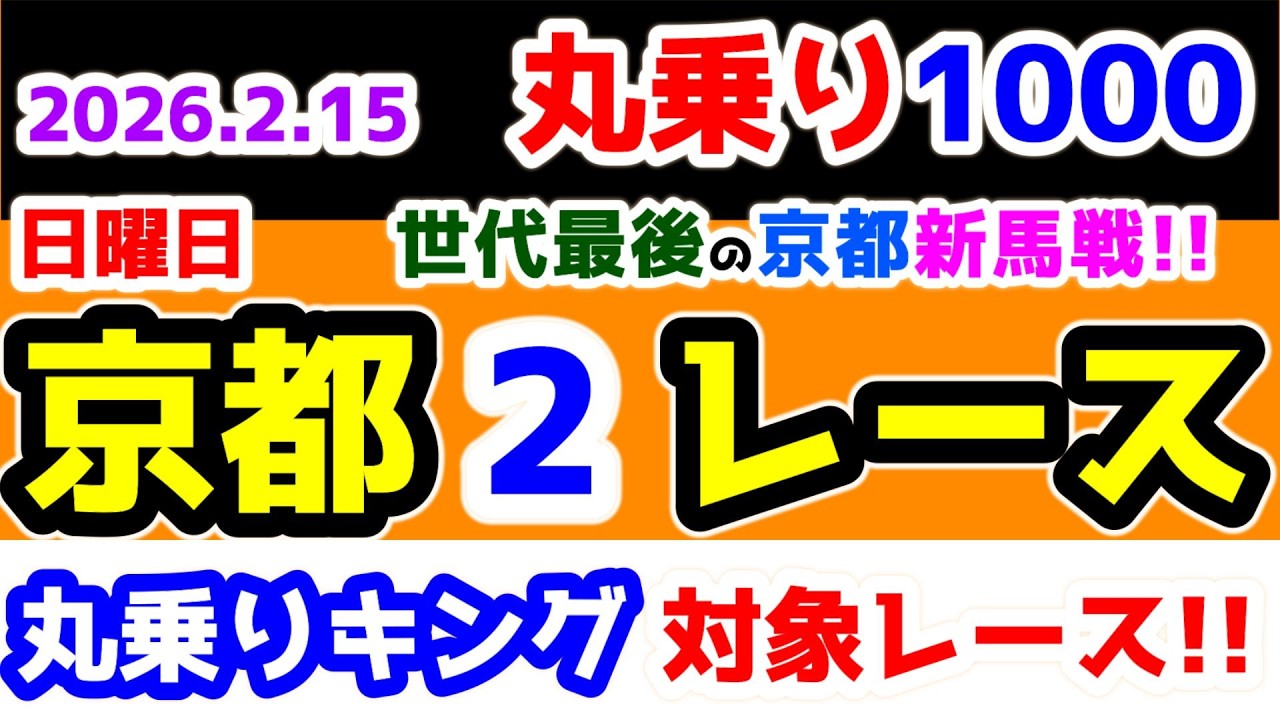 【ひとり丸乗り1000】 2026.2.15 京都2R 3歳新馬 　世代最後の京都新馬戦は寂しい顔ぶれに😭　【1000円の買い目で馬券対決😤 #223 】