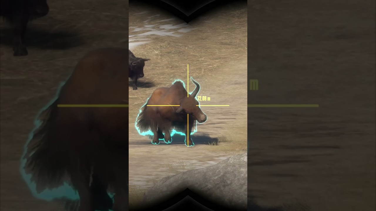 My FIRST Rare YAK!!! SUNDARPATAN | The Hunter: Call of The WILD