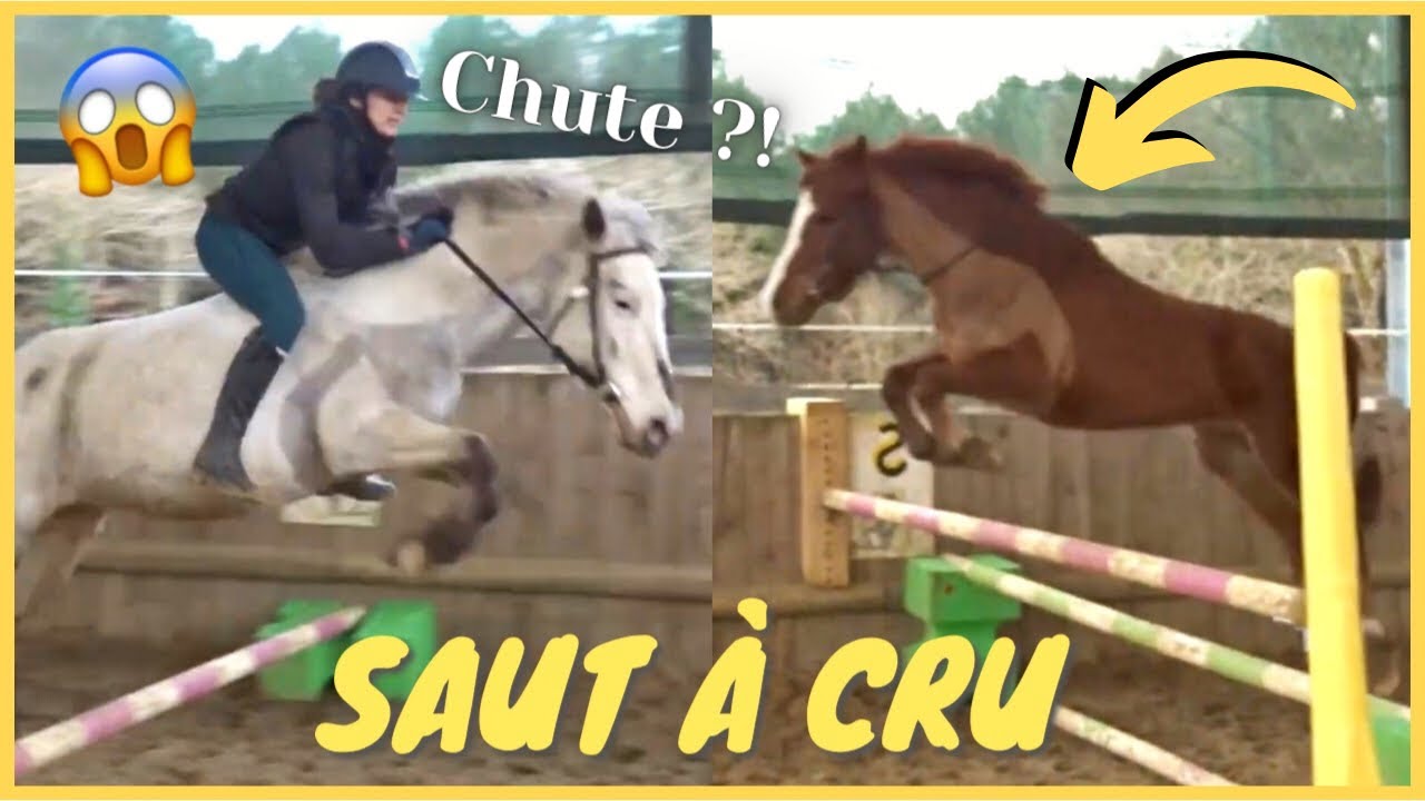 [COURS] Saut d'obstacles à cru et Dream saute 1 mètre 🤪 ! 20/02/21 - CS'o Landreau